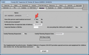 Medical tab with "Yes" box checked for the question "Does this person want medical services?" 